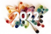 2022 papillon