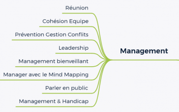 ArianeSud MM Formations Management
