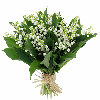 Muguet