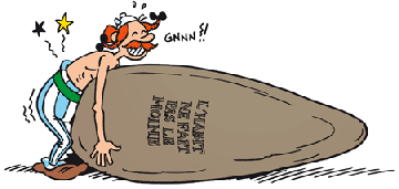 obelix competences