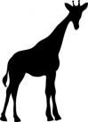 silhouette_of_a_baby_giraffe