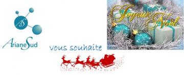 souhaits noel