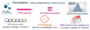 stat_formation_4_large