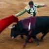 tol toro