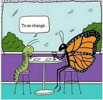 tu as change