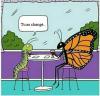 tu as change
