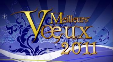 voeux 2011 bleu