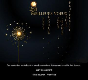VOEUX 2011 zen