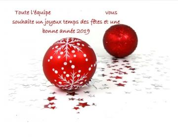 voeux-2019